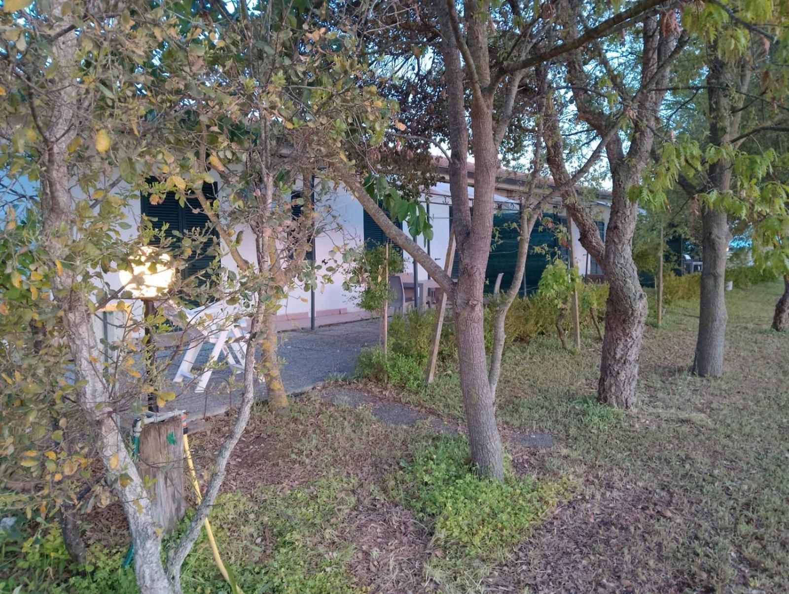 Agriturismo I Gelsi Marina Di Grosseto Dış mekan fotoğraf