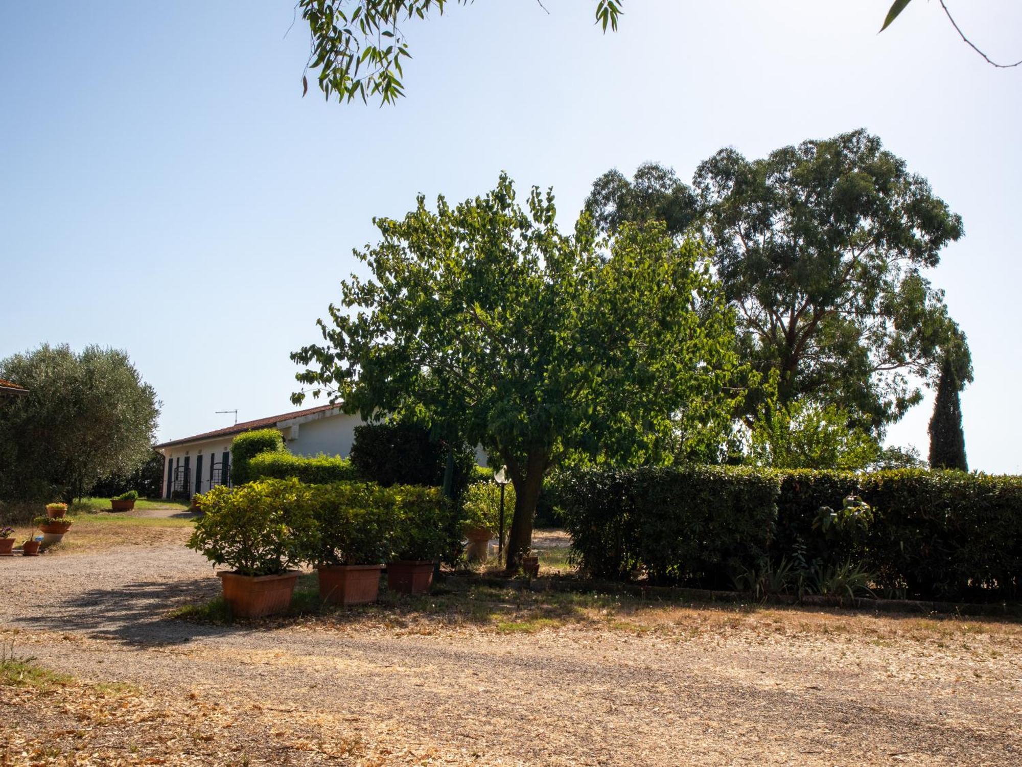 Agriturismo I Gelsi Marina Di Grosseto Dış mekan fotoğraf