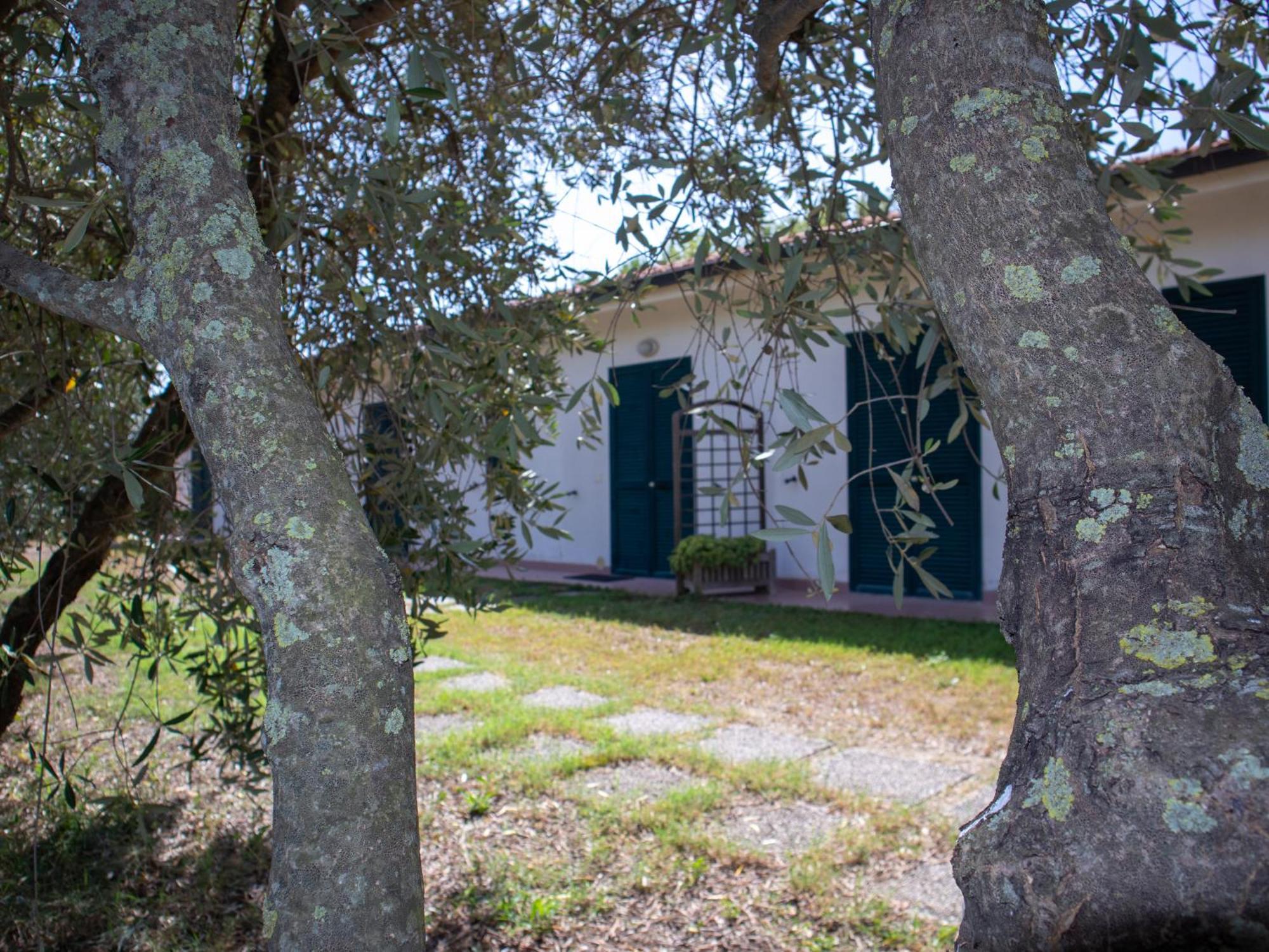 Agriturismo I Gelsi Marina Di Grosseto Dış mekan fotoğraf